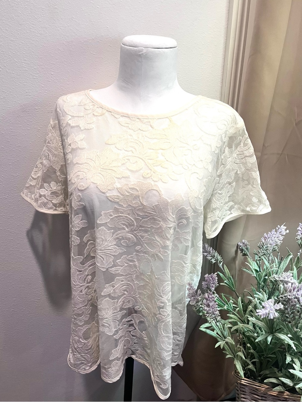The Limited Lace Top Size Small